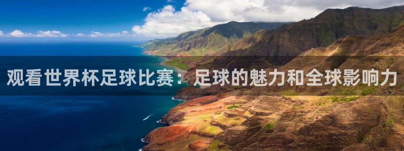 戴高乐简介：观看世界杯足球比赛：足球的魅力和全球影响力