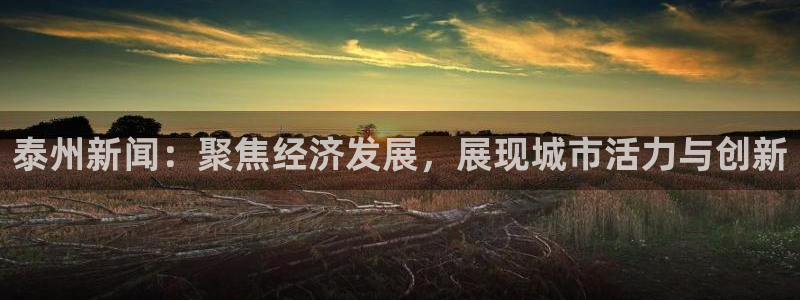 戴高乐简介：泰州新闻：聚焦经济发展，展现城市活力与创新