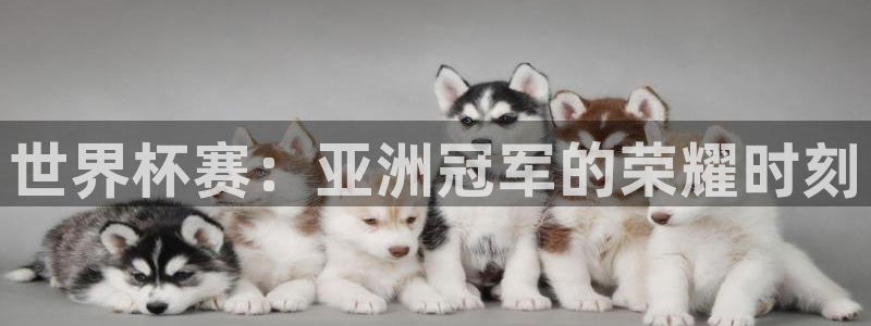戴高乐全名：世界杯赛：亚洲冠军的荣耀时刻