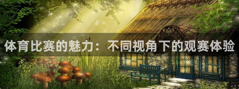 戴高乐自由法国：体育比赛的魅力：不同视角下的观赛体验