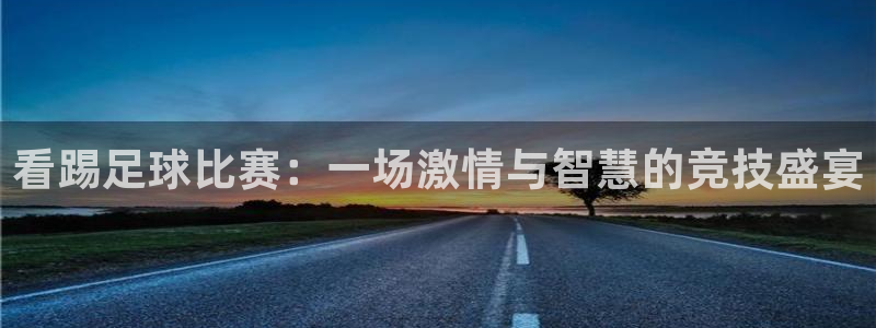 戴高乐自由法国：看踢足球比赛：一场激情与智慧的竞技盛宴