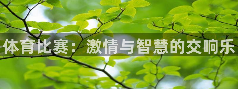 戴高乐pg新版台子：体育比赛：激情与智慧的交响乐