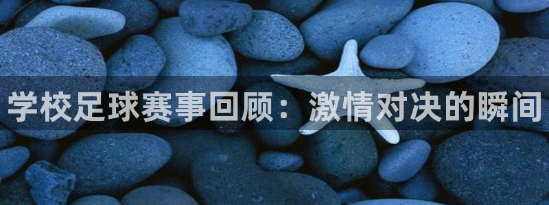 法国戴高乐机场必买：学校足球赛事回顾：激情对决的瞬间