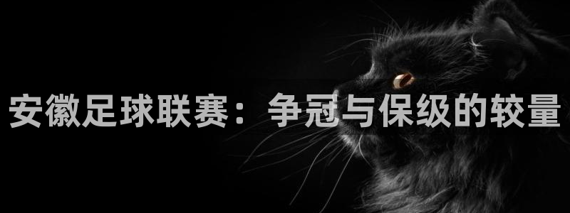 戴高乐自由法国：安徽足球联赛：争冠与保级的较量