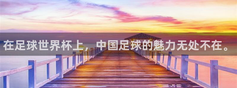 戴高乐高是哪个国家的：在足球世界杯上，中国足球的魅力无处不在。