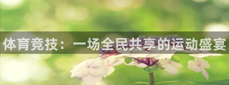 戴高乐h5：体育竞技：一场全民共享的运动盛宴