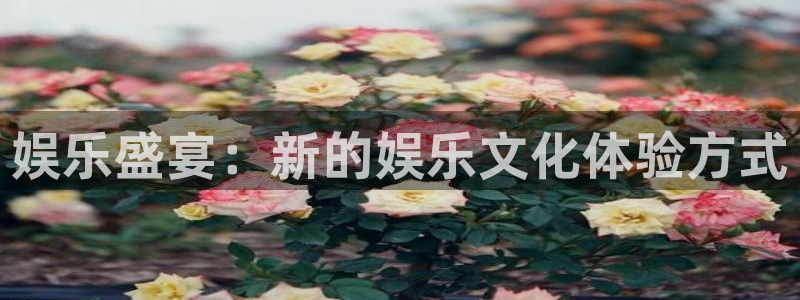戴高乐官网：娱乐盛宴：新的娱乐文化体验方式
