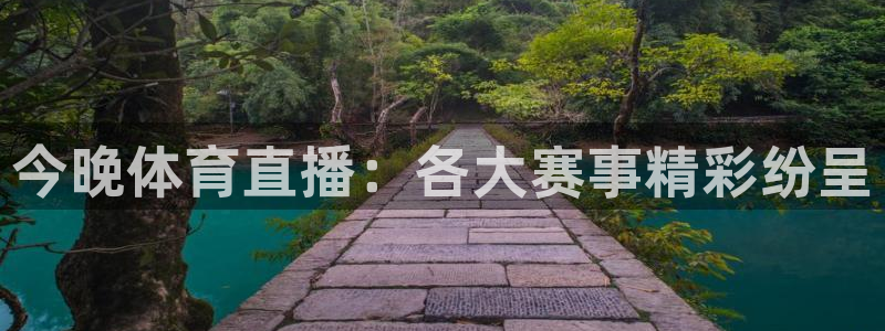 巴黎戴高乐t2e：今晚体育直播：各大赛事精彩纷呈