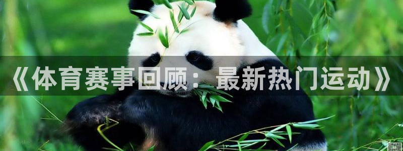 戴高乐是谁：《体育赛事回顾：最新热门运动》