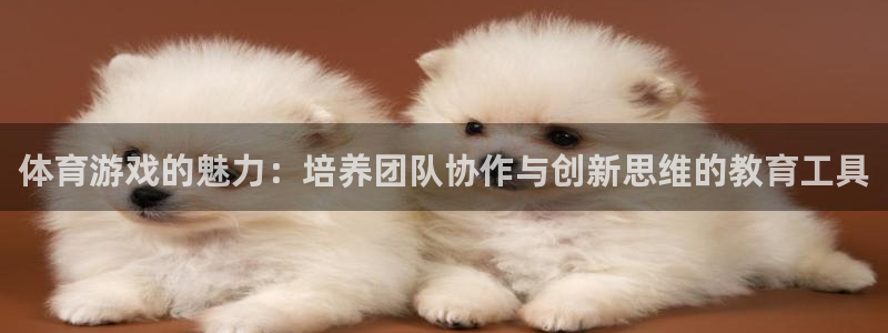 法国戴高乐：体育游戏的魅力：培养团队协作与创新思维的教育工具