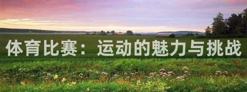 戴高乐高是哪个国家的：体育比赛：运动的魅力与挑战