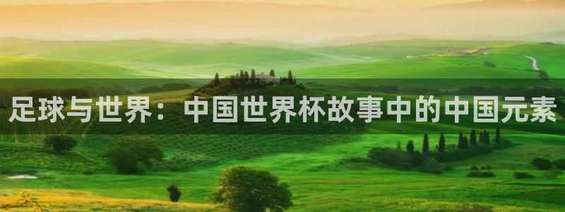 戴高乐h5：足球与世界：中国世界杯故事中的中国元素